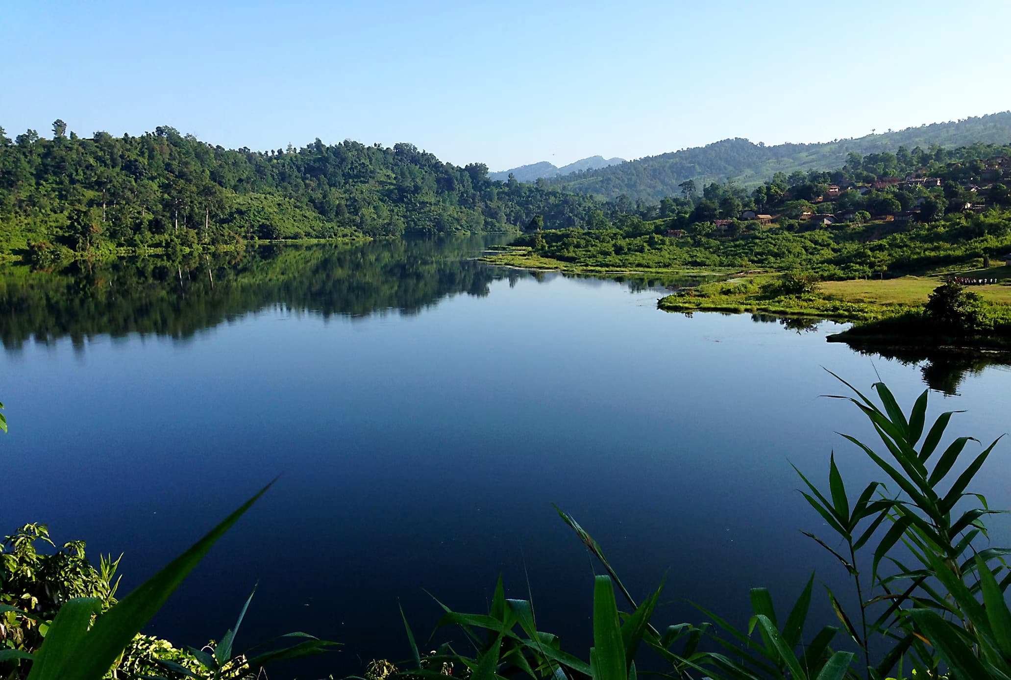 Sustainable Shrimp Farming in Bengal