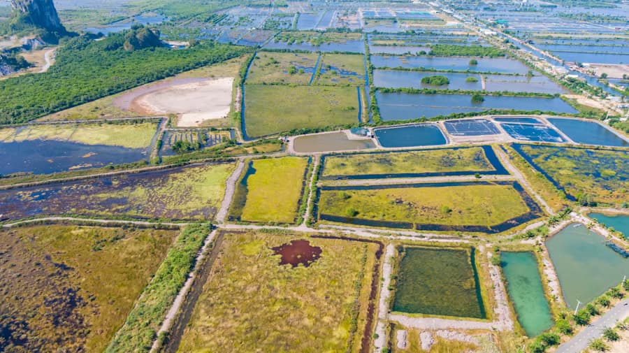 Monsoon Farming: Challenges & Solutions