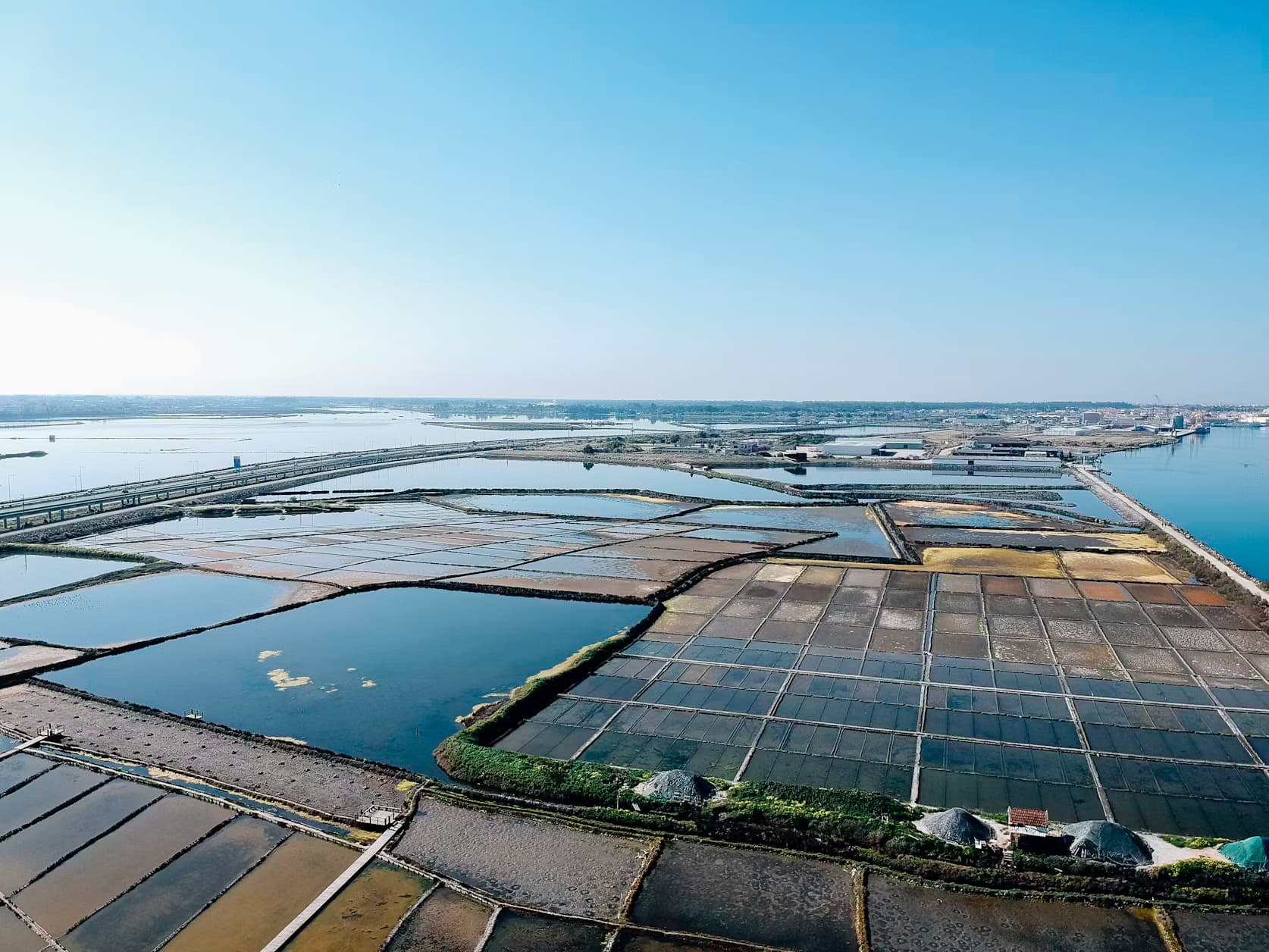 Shrimp Harvest