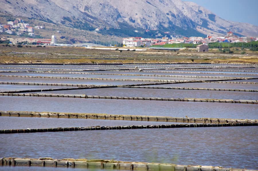 Reaching New Markets: EU & Japan